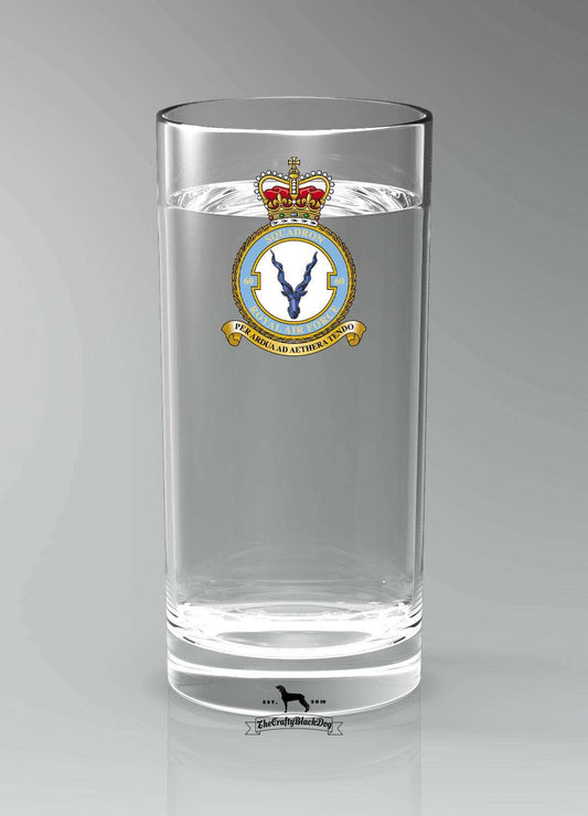 60 Squadron RAF - Straight Gin/Mixer/Water Glass