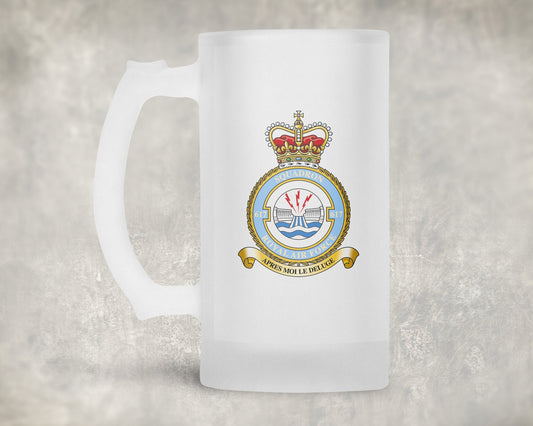 617 Squadron RAF - Frosted Stein