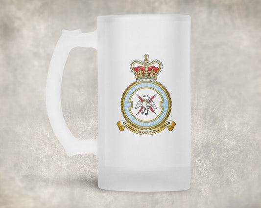 7006 VR Intelligence SQN RAuxAF - Frosted Stein