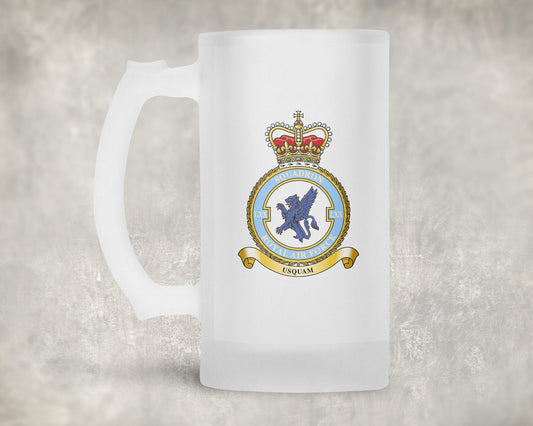 70 Squadron RAF - Frosted Stein