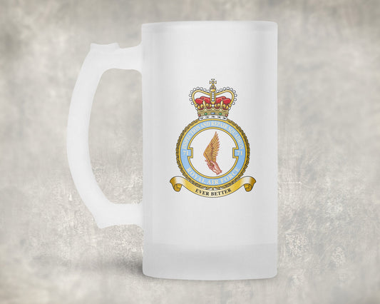 71 Inspection and Repair Squadron RAF - Frosted Stein