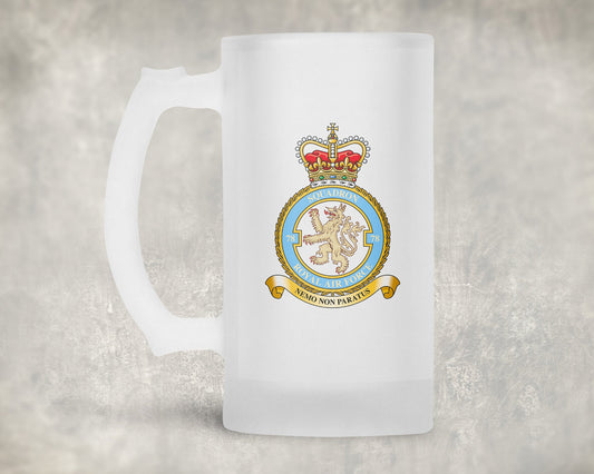 78 Squadron RAF - Frosted Stein