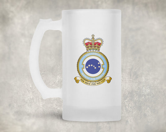 7 Squadron RAF - Frosted Stein