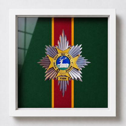 Worcestershire and Sherwood Foresters 3D Cap Badge Display Frame | Officially Licensed