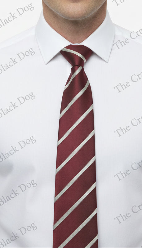 Duke of Wellington Regiment - Tie