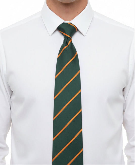 The Devonshire & Dorset Regiment Regimental Tie