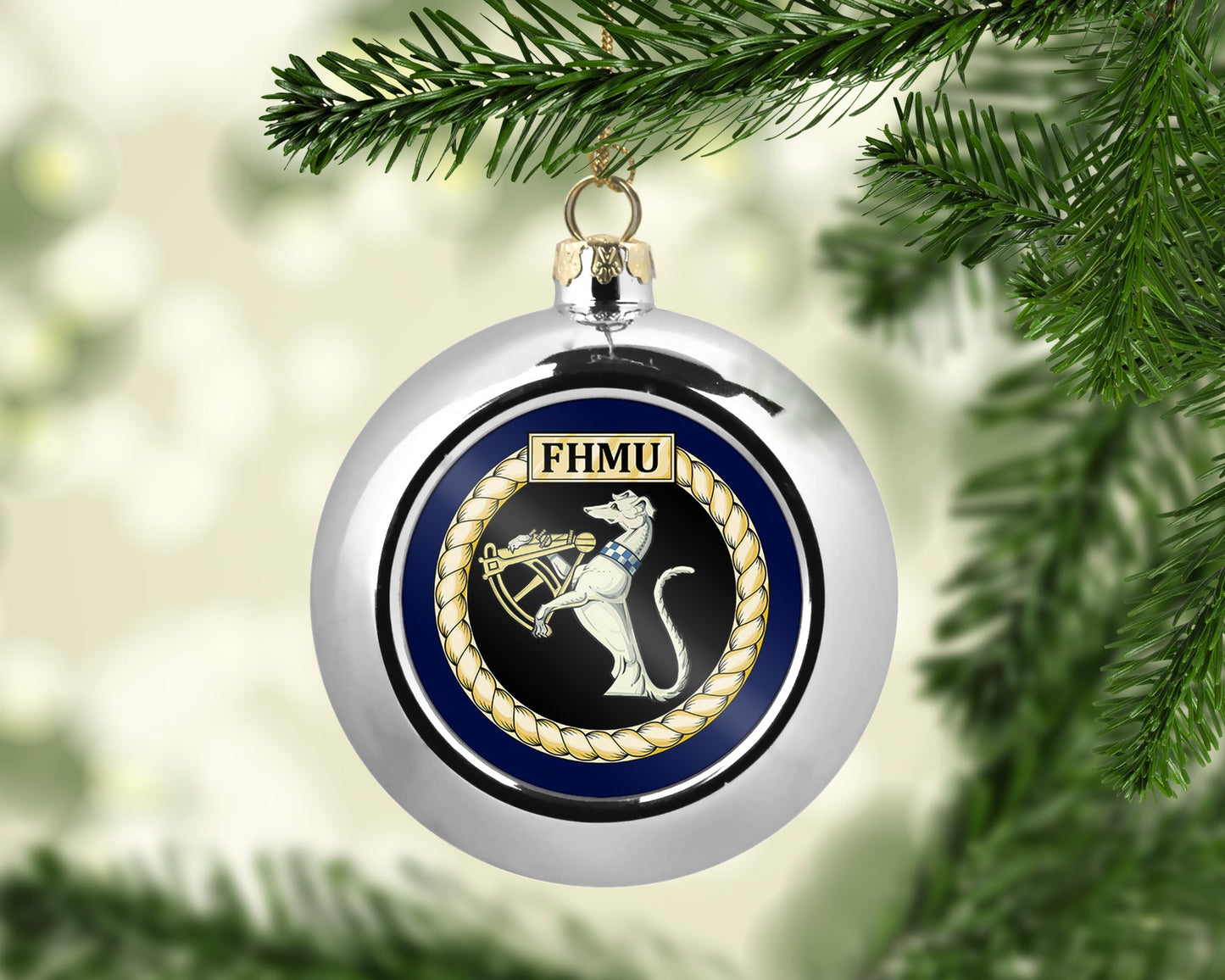 Fleet Hydrographic Meteorological Unit FHMU - Bauble