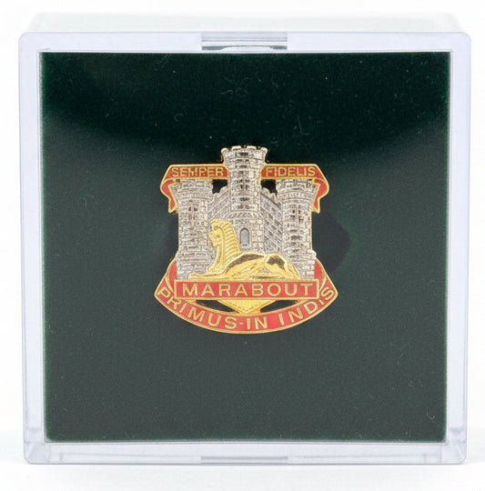 The Devonshire & Dorset Regiment (D&D) - British Military Lapel Pin Badge | MOD Licensed