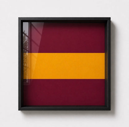 Royal Regiment of Fusiliers Grenade Display Frame Queen's Crown | Officially Licensed