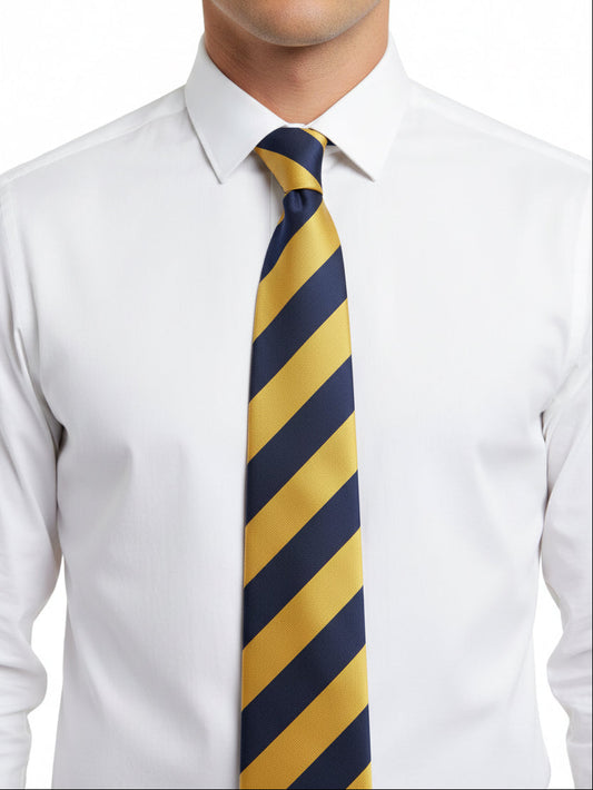 The Princess of Wales' Royal Regiment (PWRR) Regimental Tie