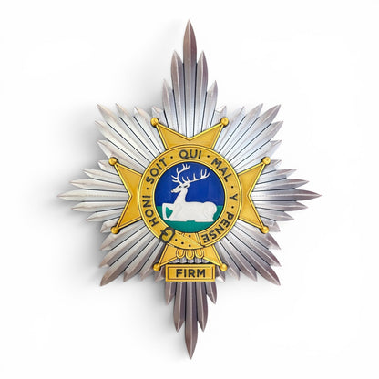 The Worcestershire and Sherwood Foresters Cap Badge | Officially Licensed