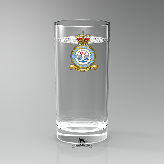 617 Squadron RAF - Straight Gin/Mixer/Water Glass