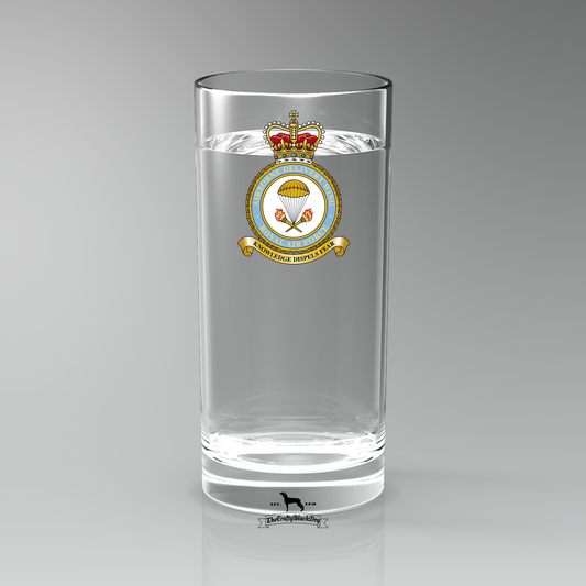 Airborne Delivery Wing RAF - Straight Gin/Mixer/Water Glass