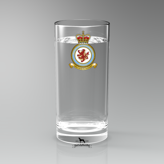 RAF Benson - Straight Gin/Mixer/Water Glass