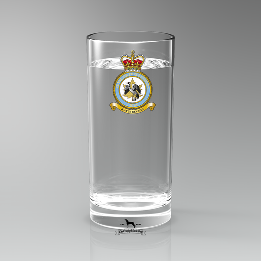 RAF Digby - Straight Gin/Mixer/Water Glass