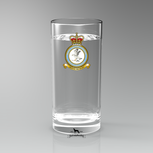 RAF Mount Pleasant - Straight Gin/Mixer/Water Glass