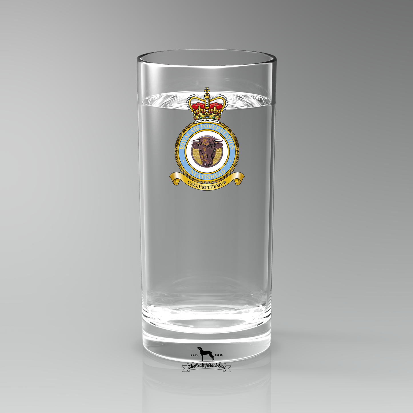 RAF Neatishead - Straight Gin/Mixer/Water Glass