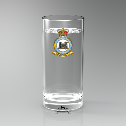 RAF Odiham - Straight Gin/Mixer/Water Glass