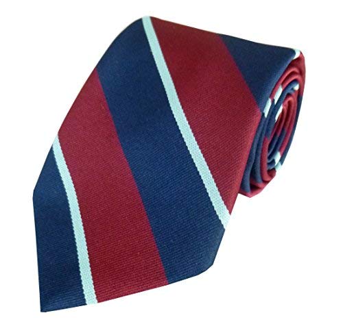 Royal Air Force - Stripe Tie