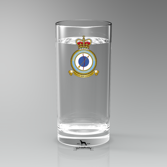 RAF Scampton - Straight Gin/Mixer/Water Glass