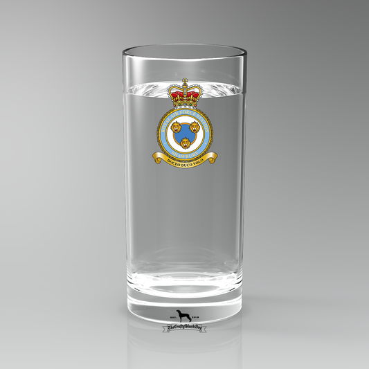RAF Shawbury - Straight Gin/Mixer/Water Glass