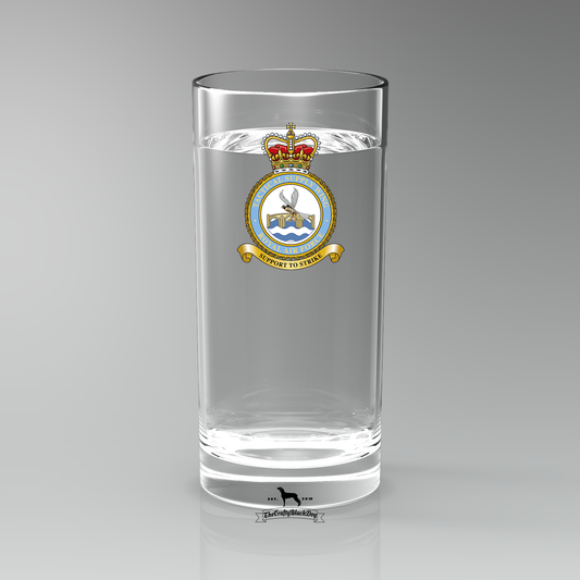 Tactical Supply Wing RAF - Straight Gin/Mixer/Water Glass