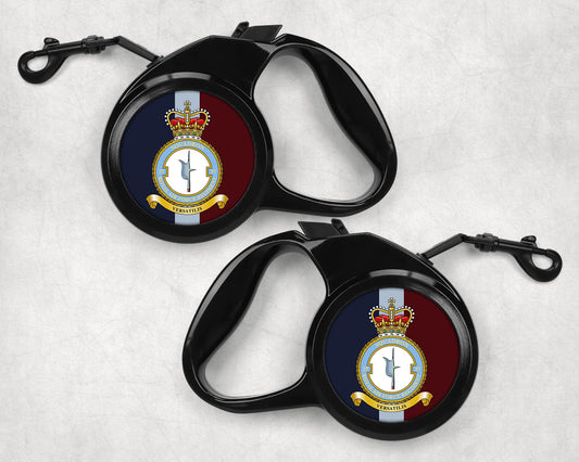 37 Squadron RAF - Dog Lead