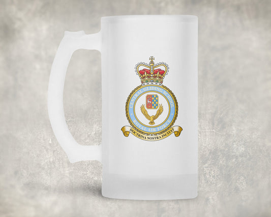 Central Gliding School RAF - Frosted Stein