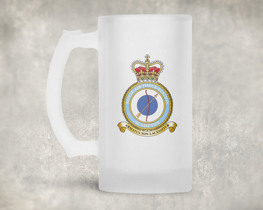 RAF Scampton - Frosted Stein