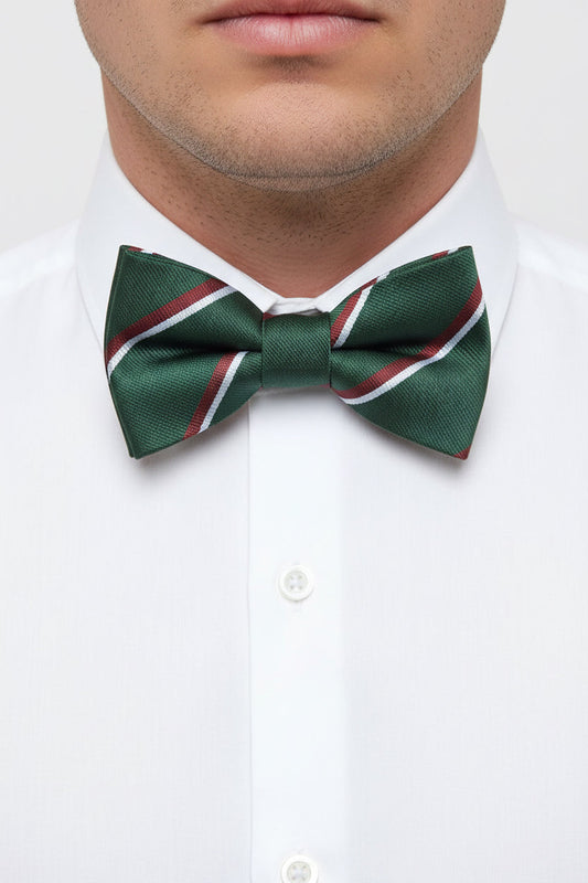 The Staffordshire Regiment Pre-Tied Polyester Bow Tie