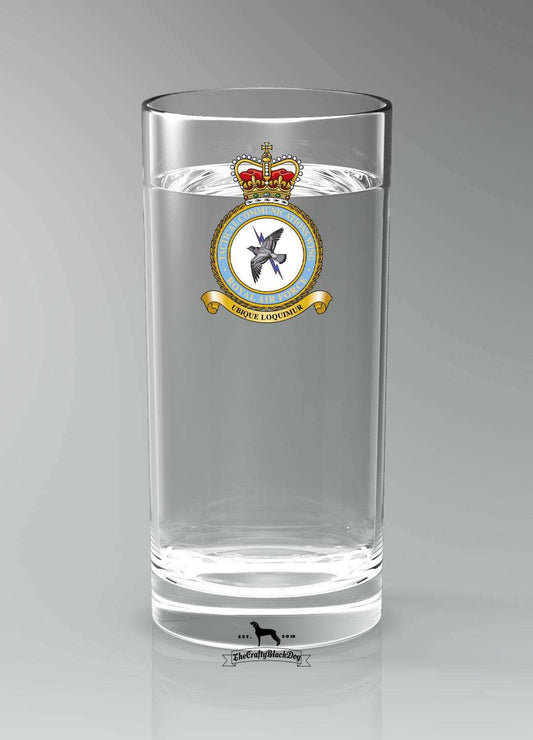 Tactical Communications Wing RAF - Straight Gin/Mixer/Water Glass