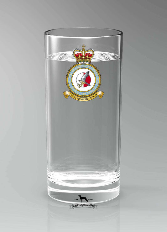 Tactical Imagery Intelligence Wing RAF - Straight Gin/Mixer/Water Glass