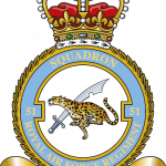 51 Sqn RAF Regiment