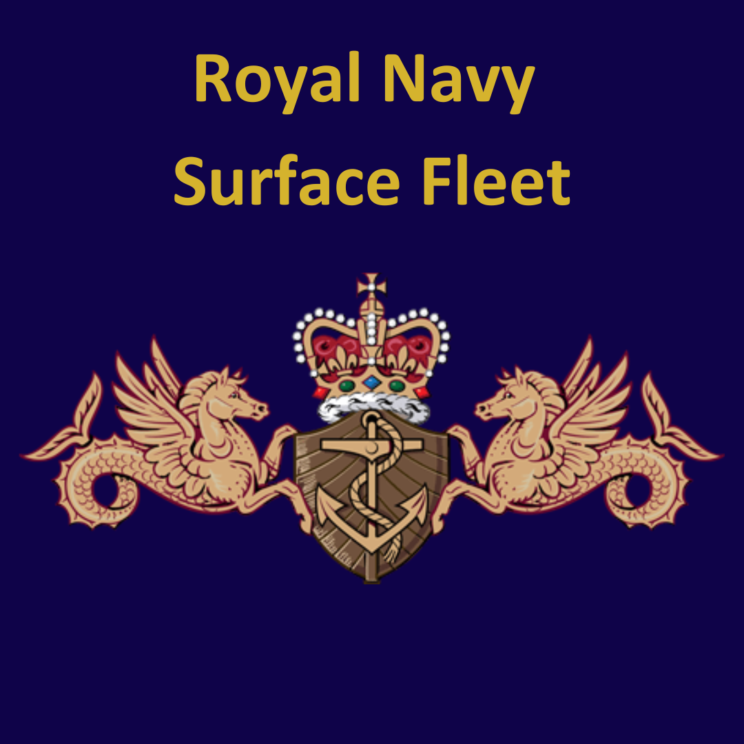 Royal Navy Surface Fleet