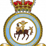 Tactical Medical Wing RAF